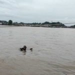 Niatnya Menyelam Ambil Besi Tua dari Kapal Tongkat, Remaja Rapak Dalam Hilang di Sungai Mahakam