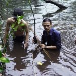 Dari Jenggala Bakau Jaga Konservasi Pesisir, Mapala Bontang Tabur Kelestarian dengan 250 Bibit Magrove