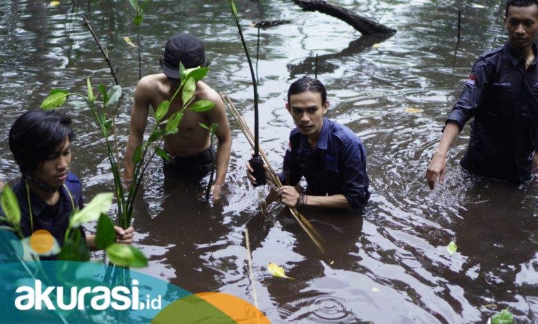 Dari Jenggala Bakau Jaga Konservasi Pesisir, Mapala Bontang Tabur Kelestarian dengan 250 Bibit Magrove