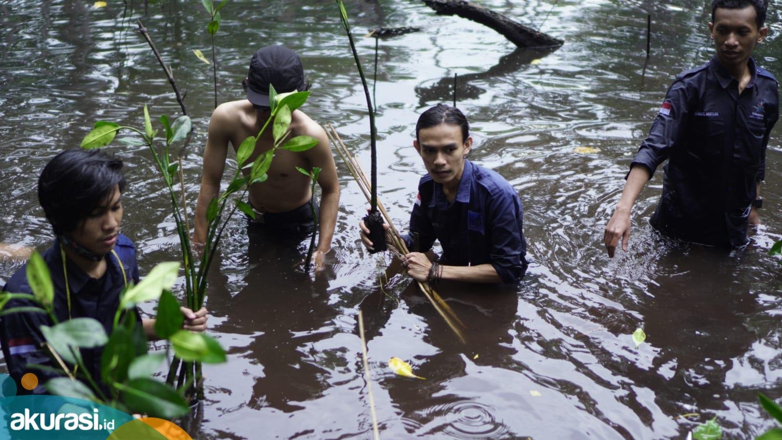 Dari Jenggala Bakau Jaga Konservasi Pesisir, Mapala Bontang Tabur Kelestarian dengan 250 Bibit Magrove