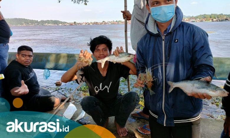 Fenomena Air Bangai di Sungai Mahakam, Ribuan Ikan dan Udang Mabuk Diburu Warga di Tepi Sungai