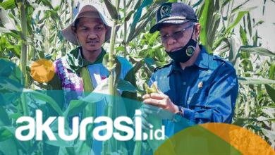 Serapan APBD Kaltim “Jauh Panggang dari Api”, Sampai Juni 2021 Baru 18 Persen, Samsun: Sangat Lamban