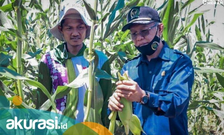 Serapan APBD Kaltim “Jauh Panggang dari Api”, Sampai Juni 2021 Baru 18 Persen, Samsun: Sangat Lamban