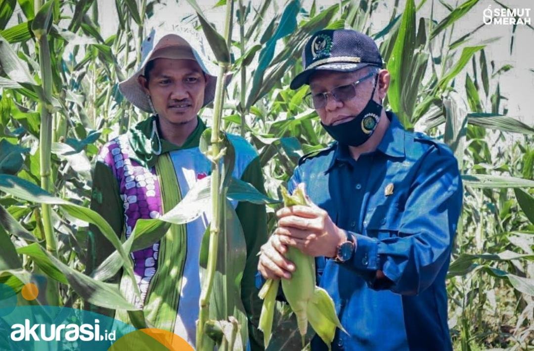 Serapan APBD Kaltim “Jauh Panggang dari Api”, Sampai Juni 2021 Baru 18 Persen, Samsun: Sangat Lamban