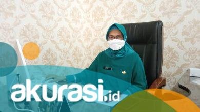 Melihat Jenis Layanan dan Tata Tertib Pelayanan Kearsipan DPK Bontang