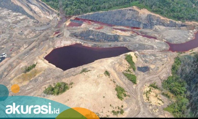 Tambang Ilegal Kian Menjadi, Pemprov Kaltim Angkat Bendera Putih Lantaran Kewenangan Ditarik Pusat