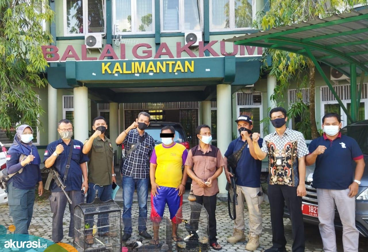 Jual 597 Burung Dilindungi ke Luar Kaltim, 3 Warga Samarinda Terancam 10 Tahun Masuk Kandang