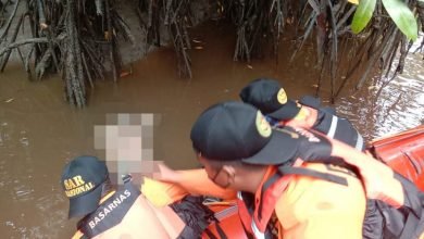 Pria Korban Terkaman Buaya di Sungai Sebakis Ditemukan Meninggal dengan Tangan Terputus