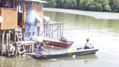 Peliknnya Kehidupan Pulau Gusung: Barang Langka Bernama Air Bersih dan Listrik yang Terseok-Seok (3)