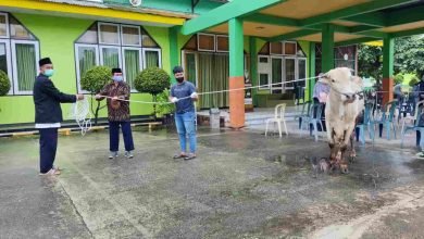 Yayasan Yabis Gelar Kurban, Potong 5 Sapi dan 4 Kambing
