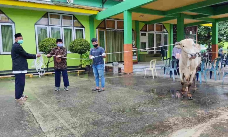 Yayasan Yabis Gelar Kurban, Potong 5 Sapi dan 4 Kambing