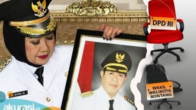 Dilema Najirah Antara Tetap Jadi Wawali atau DPD RI, Ditanyakan Matalitti, Didukung Mahyudin