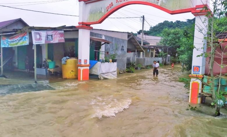 Jatam Nantikan Keseriusan Andi Harun, Urai Banjir Wajib Diawali dengan Berantas Mafia Tambang Ilegal