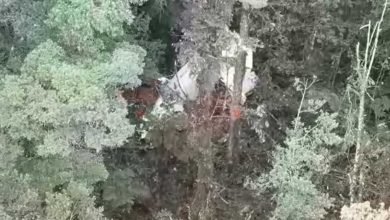 Pesawat Rimbun Air Hilang Kontak di Sugapa Papua
