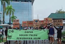 Kaltim Diambang Krisis Iklim, Bunga Terung Kaltim Kritisi Perambahan Hutan Secara Sporadis