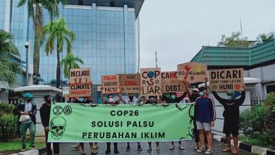 Kaltim Diambang Krisis Iklim, Bunga Terung Kaltim Kritisi Perambahan Hutan Secara Sporadis