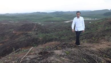 Draf RUU IKN: Pemindahan Ibu Kota Sebelum Jabatan Jokowi Berakhir