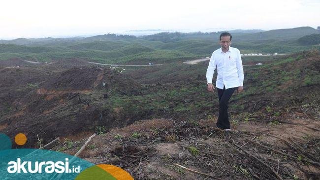 Draf RUU IKN: Tak Ada Gubernur & DPRD di Ibu Kota Negara Baru