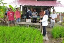 Membentengi Lahan Pertanian, Menjaga Keamanan Pangan Etam