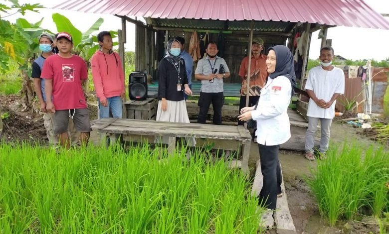 Membentengi Lahan Pertanian, Menjaga Keamanan Pangan Etam