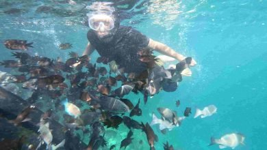 Pulau Maratua dan Sambit Masuk Blue Ekonomi dan Kawasan Zonasi Strategis Nasional Tertentu