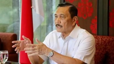Jubir Akui Luhut Terlibat Bisnis PCR-