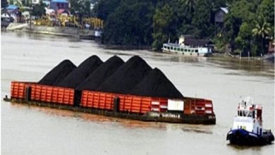 Pengusaha batu bara Tan Paulin, Kaltim, Ratu Batu Bara -Akurasi.id