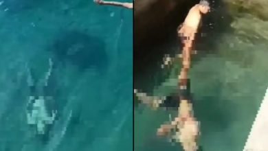 Remaja Bone Tewas Tenggelam - Akurasi.id