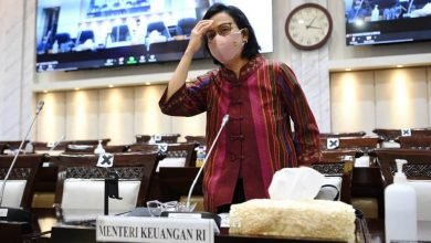 Rencana Pemerintah Pakai Dana PEN untuk Bangun IKN Tuai Kritik