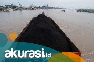 Ekspor Batu Bara Dilarang per 1 Januari 2022