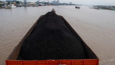 Ekspor Batu Bara Dilarang per 1 Januari 2022