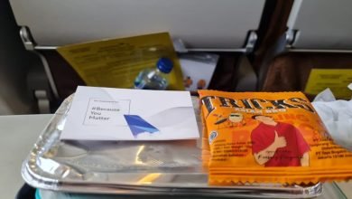 Heboh Snack Bergambar Ilustrasi Kaesang di Garuda Indonesia