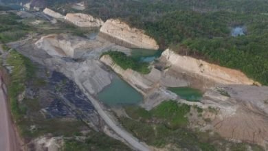 Lahan Eks Tambang Kaltim Bakal Disulap Jadi Pusat Penelitian - Akurasi.id