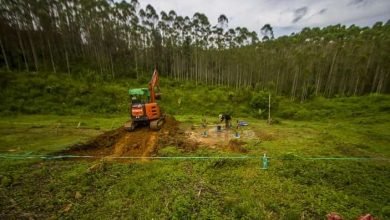 Plang IKN Terpasang di Tanah Adat Tanpa Sosialisasi, Warga PPU: Kami Dianggap Tak Ada