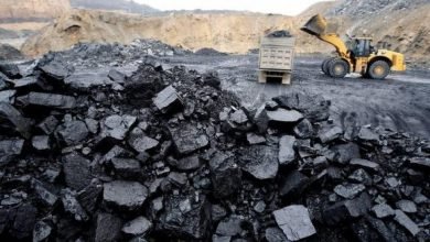 Batu Bara Indonesia Jadi Rebutan Dunia, Negara di Asia Juga Ikut Berburu