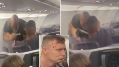 Terus Diprovokasi, Mike Tyson Hajar Penumpang Mabuk di Pesawat