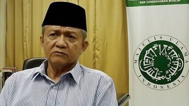 MUI dan Muhammadiyah Respons Viral Perempuan Hijab Pamer Payudara