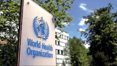 Cacar Monyet Menular via Hubungan Seks, WHO Peringatkan Komunitas LGBT