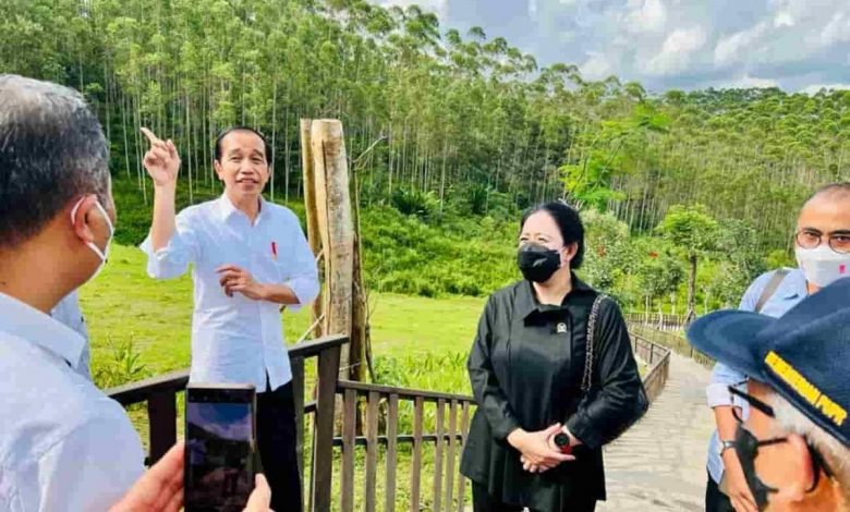 Bendungan Sepaku dan Persemaian Benih Mentawir Langkah Awal Jokowi Bangun IKN Nusantara