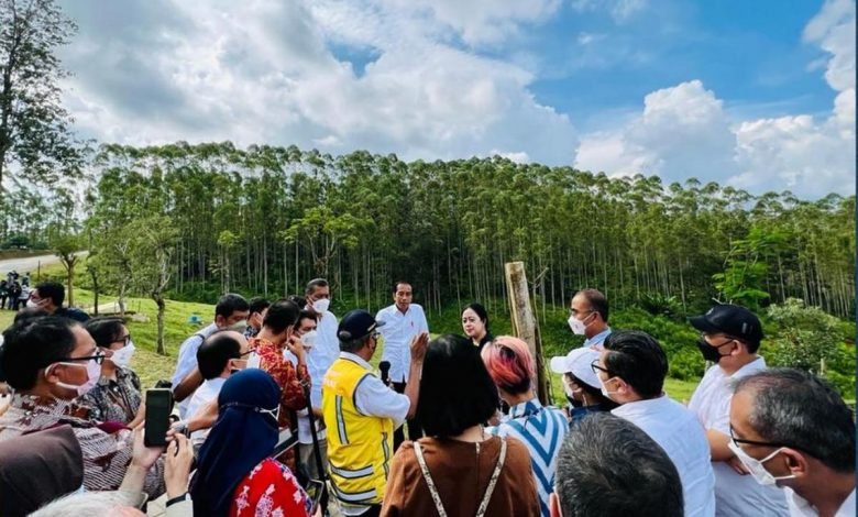 Pembangunan IKN Nusantara Diawali dengan Dana Rp5,3 Triliun: Agustus Mulai Kerja