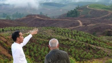 Resmi! 1 Agustus Kawasan IKN Terapkan Sistem Buka Tutup