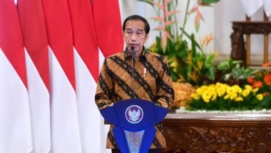 Setelah Nikel, Jokowi Resmi Umumkan Larangan Ekspor Bijih Bauksit Mulai Juni 2023