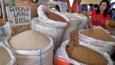 INAgri: Rantai Pasok Tidak Efisien Sebabkan Mahalnya Harga Beras di Indonesia