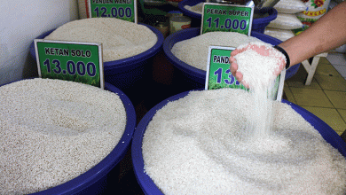 Bank Dunia Sebut Harga Beras di Indonesia Paling Mahal se-ASEAN, Begini Tanggapan Mentan