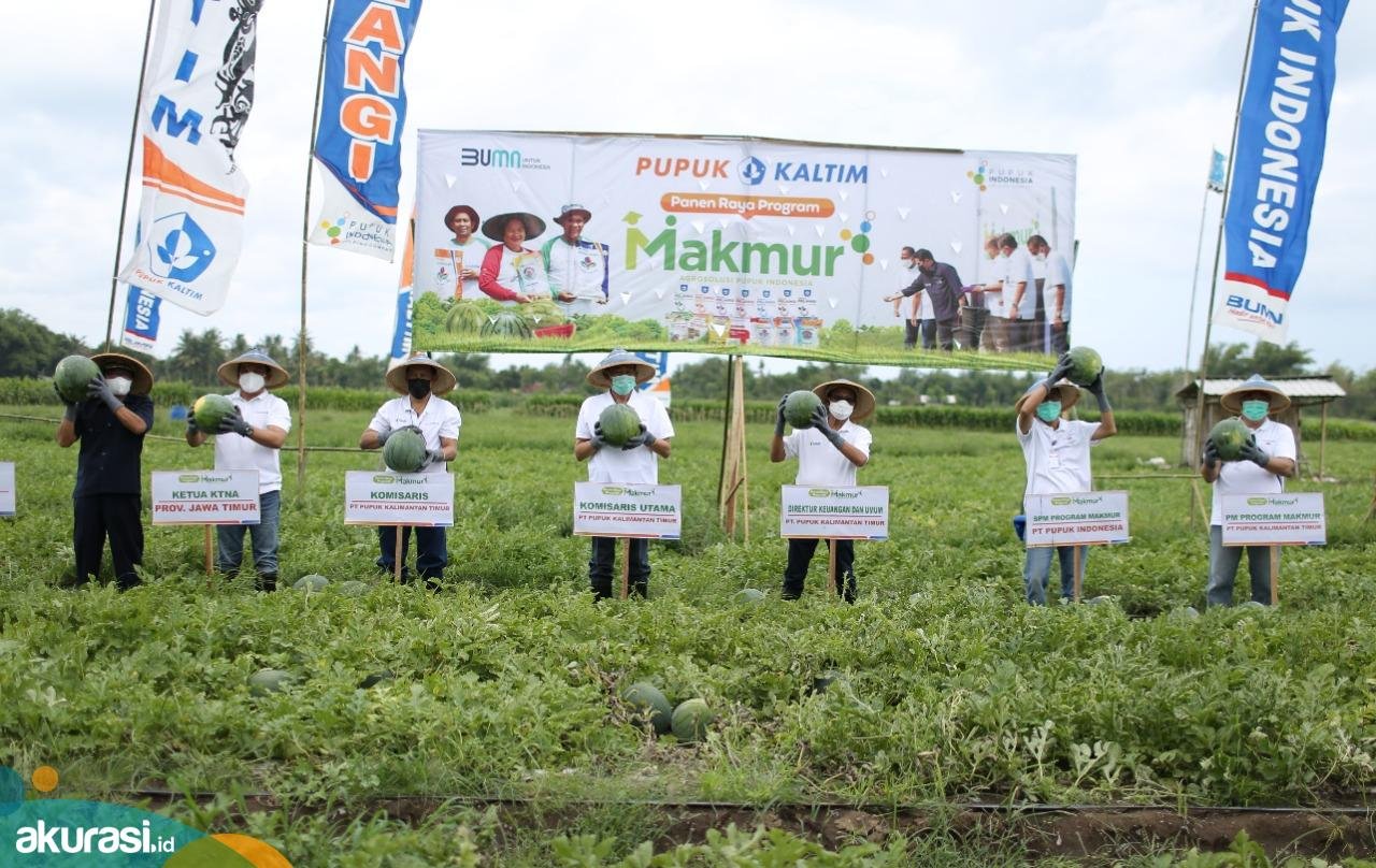 Di lini sosial, PKT bergerak melalui Program MAKMUR (Mari Kita Majukan Usaha Rakyat). Hingga Desember 2022, PKT telah berhasil membina lebih dari 30.577 ribu petani dengan luas tanam mencapai 66.136 ribu Ha. (ist)