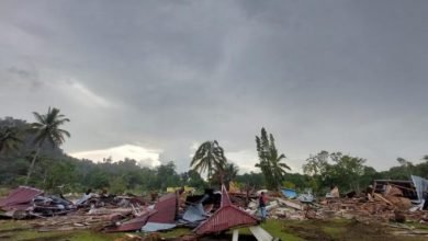 KontraS Sebut Pengosongan Lahan di Gunung Seriang Langgar HAM