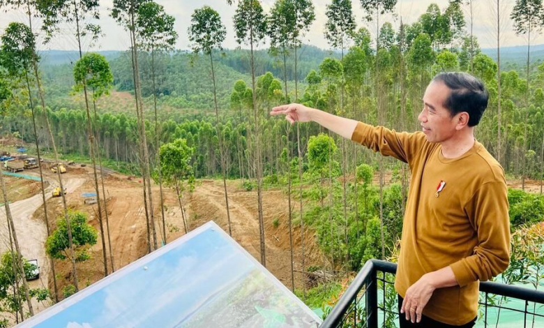 Jokowi Optimis Pembangunan IKN Nusantara Selesai dalam 15 Tahun