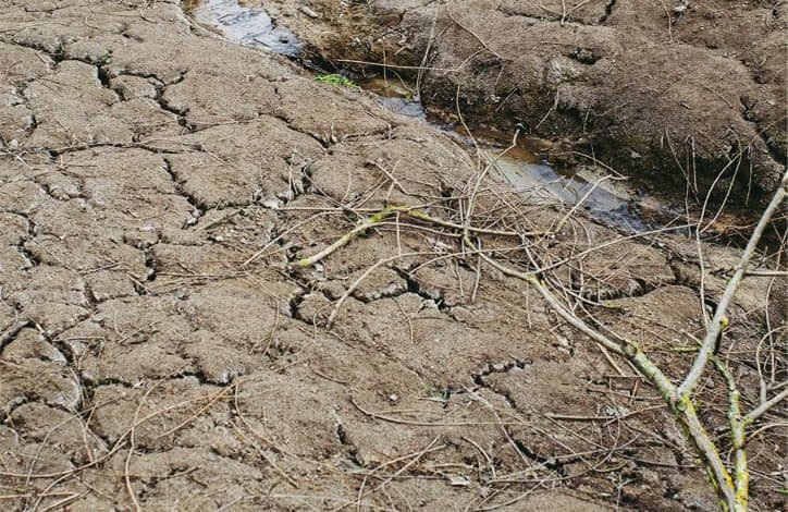 Menavigasi Iklim Indonesia: Bagaimana El Nino Mempengaruhi 'The Child'