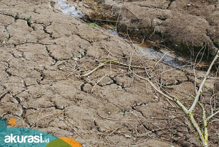 Menavigasi Iklim Indonesia: Bagaimana El Nino Mempengaruhi 'The Child'