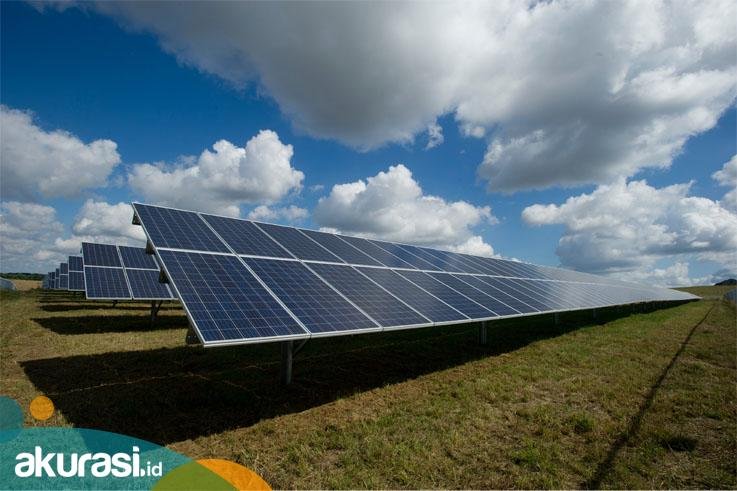 Memanfaatkan Kekuatan Matahari: Visi Indonesia untuk Industri Panel Surya yang Berkembang